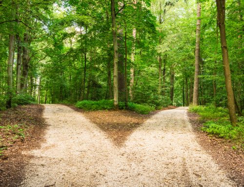 Can I Stop Drinking on My Own or Do I Need Help?