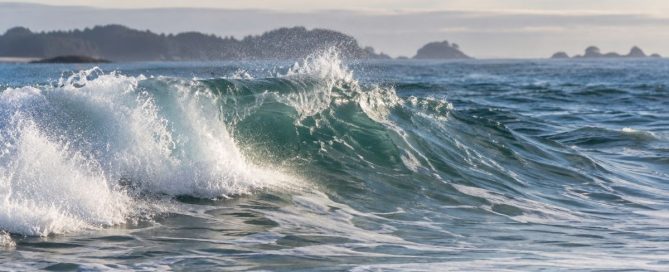 An ocean wave cresting and beginning to break, symbolizing how alcohol cravings rise in intensity and eventually pass.